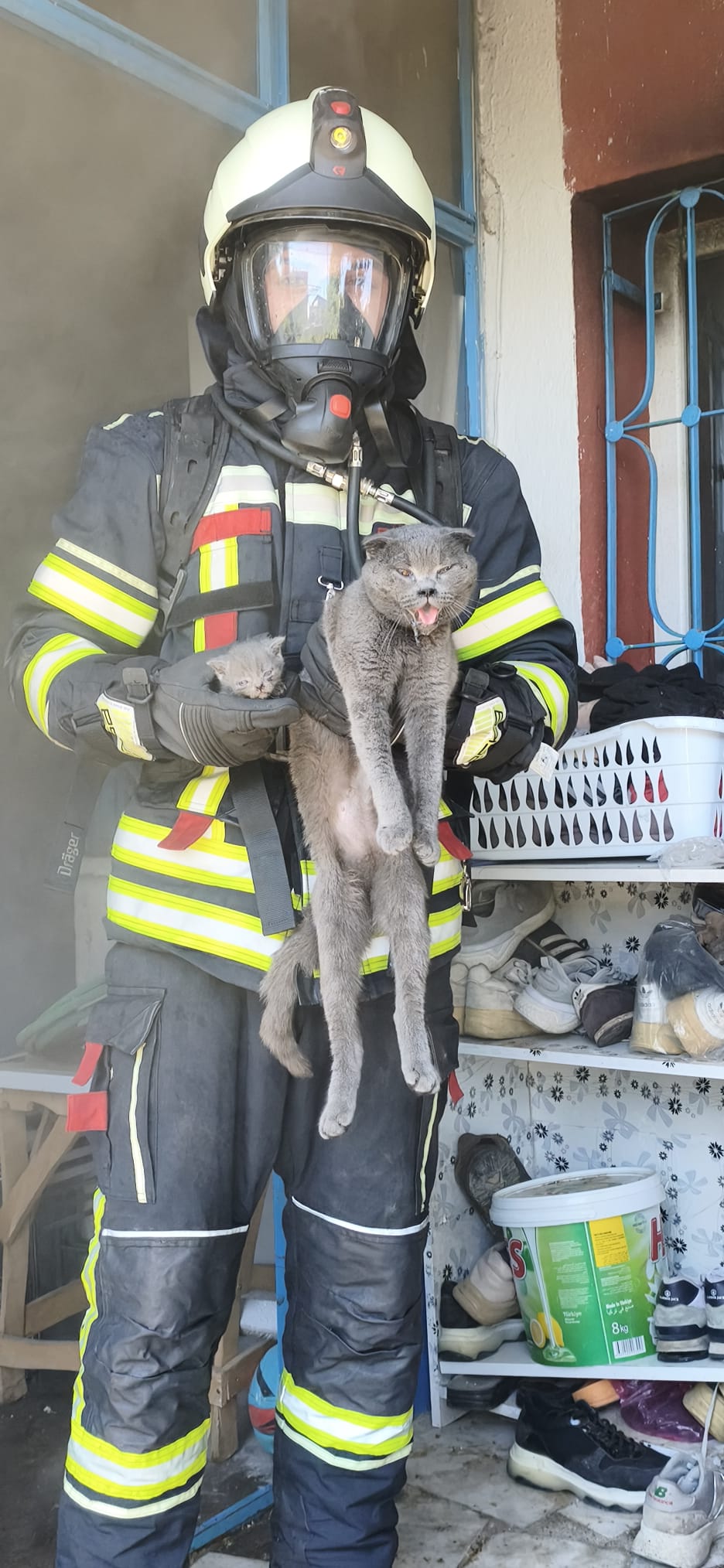  İTFAİYE, YANGINDA MAHSUR KALAN 6 KEDİYİ KURTARDI