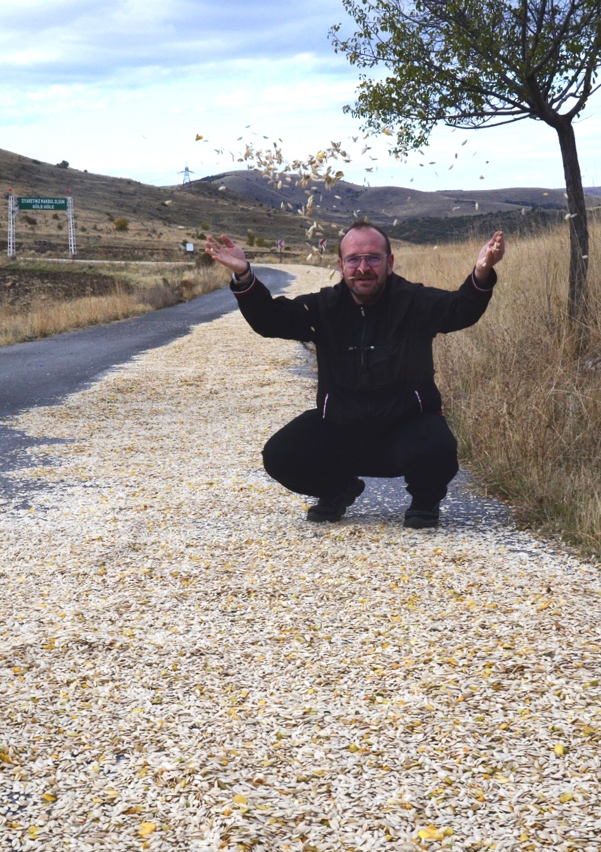 KABAK ÇEKİRDEKLERİ, BİLİNÇLİ KURUTULMALI