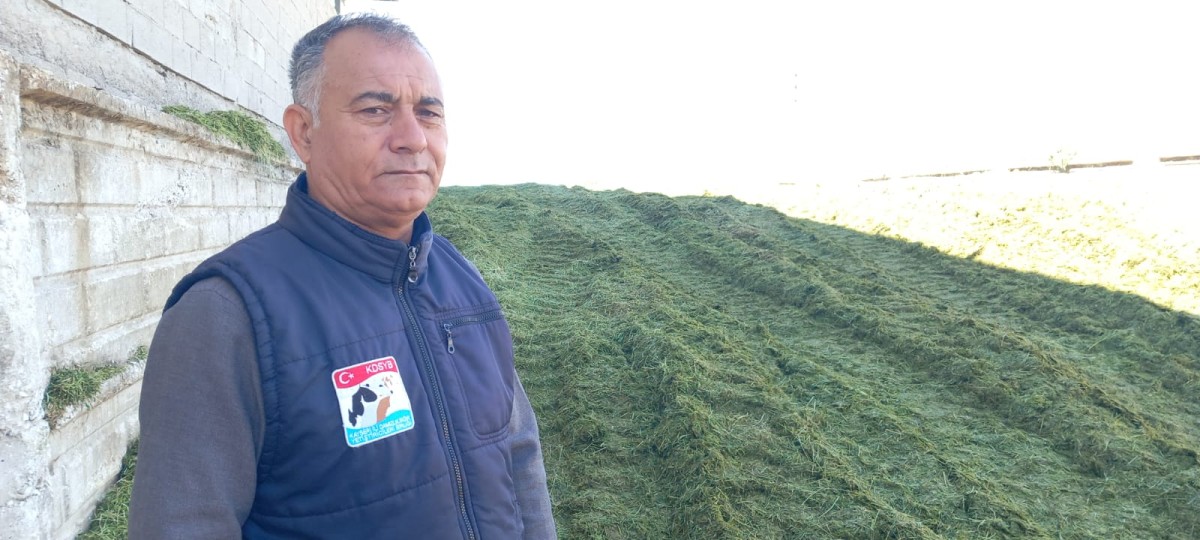 YAĞlŞLAR ÜRETİCİYİ SİLAJ YAPMAYA YÖNELTTİ 