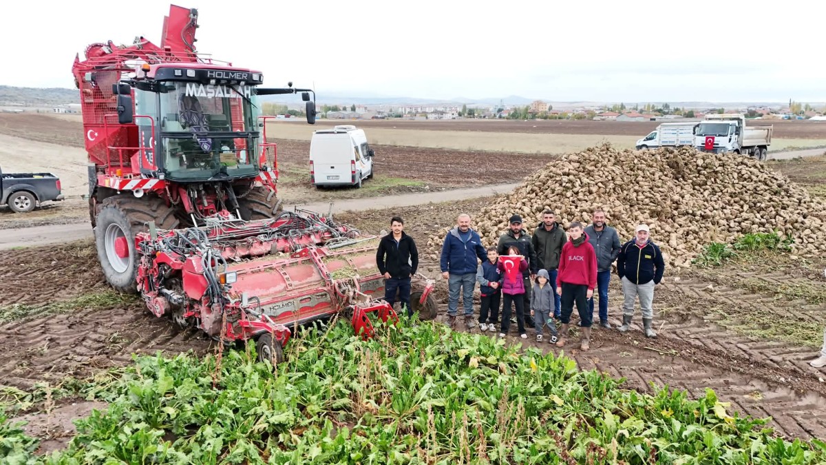 TOMARZA’DA ŞEKER PANCARI HASADI BAŞLADI
